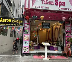 Cho thuê nhà nguyên căn khu phố Tây đường Biệt Thự