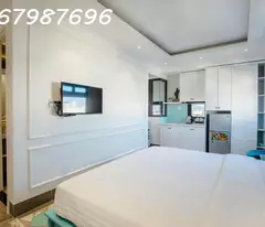 Cho thuê nhà nguyên căn khu phố Tây đường Biệt Thự