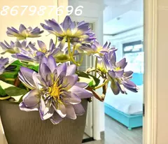 108 Cho thuê tòa căn hộ 8 tầng mới 100% đường Vân Đồn, Phước Hòa, Nha Trang