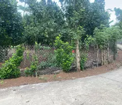 Bán đất 3000m2 thổ cư 150m2 tại Xã Xuân Tây, Cẩm Mỹ, Đồng Nai, giá 2,2 tỷ