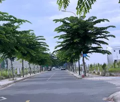 Đất Hòa Lợi, Gần VSIP 2, Đồng An 2, Giá 1,45 Tỷ