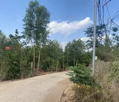 Bán đất 3 mặt tiền đường bê tông 1800m2 full hồng đất ở tại Xuân Tây, Cẩm Mỹ, Đồng Nai,