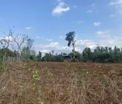 Bán đất 3 mặt tiền đường bê tông 1800m2 full hồng đất ở tại Xuân Tây, Cẩm Mỹ, Đồng Nai,