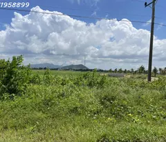 Bán đất thổ cư Hùng Vương, thị xã LaGi giá siêu rẻ chỉ 450tr/m ngang view Biển