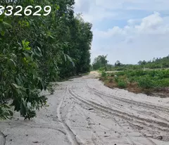 Chỉ 500 triệu sở hữu 1000m2 Tân Bình - TX LaGi đường xe hơi giá ngộp