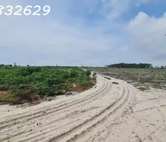Chỉ 500 triệu sở hữu 1000m2 Tân Bình - TX LaGi đường xe hơi giá ngộp