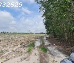 Chỉ 500 triệu sở hữu 1000m2 Tân Bình - TX LaGi đường xe hơi giá ngộp