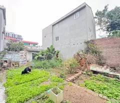 Bán đất tổ 7, Quang Minh, Mê Linh, HN. Cách đường Võ Văn Kiệt 400m. DT 104m, giá 2,6 tỷ.