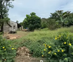 BÁN ĐẤT CHÍNH CHỦ FULL THỔ CƯ XÃ ĐẠ KHO HUYỆN ĐẠ HUOAI MỚI TỈNH LÂM ĐỒNG DIỆN TÍCH 800M2