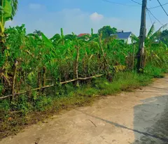 Chính chủ cần chuyển nhượng lô đất rộng gần 2000m2 tại Song Giang, Gia Bình, Bắc Ninh