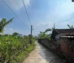 Chính chủ cần chuyển nhượng lô đất rộng gần 2000m2 tại Song Giang, Gia Bình, Bắc Ninh