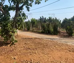 PHÂN LÔ NỀN 315m2 thổ cư 100m2 MẶT TIỀN NHỰA BẢO BÌNH - XUÂN MỸ
