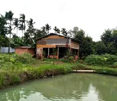 Bán nhà vườn 3500m2, 310tr, cây trái đầy đủ