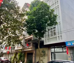 Ô tô tránh dừng đỗ ngày đêm trước nhà, Đại Mỗ - 86m2 - MT 5.1m - 4 tầng giá nhô 10 tỷ, khu vực