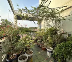 Bán nhà Mặt tiền Hoàng Văn Thụ - Phan Đăng Lưu, 4x12m, 4 Tầng , 4 PN, giảm 15 tỷ.