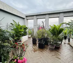 Nhà 5 tầng view sông 90m2, mặt tiền đường số 54 khu dân cư ven sông, Nguyễn Văn Linh Tân Phong