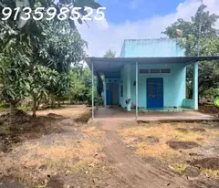 Vỡ nợ bán Nhà vườn 1900m2, 285 tr, cây trái đầy đủ, 1 nhà nhỏ