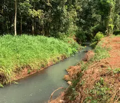 Cần Sang Lại 2 sổ (12x52=617m2) TC SHR Đường Huyện, sát Chơn Thành Bình Phước Gía 210tr/sổ