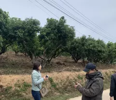 CẦN BÁN 5 LÔ ĐẤT BIỆT THỰ ĐẸP TIỀN NĂNG TẠI xã KIÊN THÀNH-LỤC NGẠN-BẮC GIANG