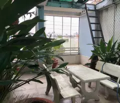 Bán Nhà Mặt tiền Nguyễn Thế Truyện - ngay Diệp Minh Châu, 4x18m, 4T - 5PN, 13.8 tỷ.