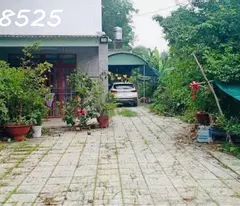 Cần chuyển chỗ ở, bán nhanh lô đất 1500m2, 280 tr, cây trái đầy đủ, 1 nhà cấp 4