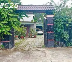 Cần chuyển chỗ ở, bán nhanh lô đất 1500m2, 280 tr, cây trái đầy đủ, 1 nhà cấp 4