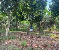 Cần chuyển về SG, bán nhanh lô đất 1500m2, 280 tr, 1 nhà cấp 4