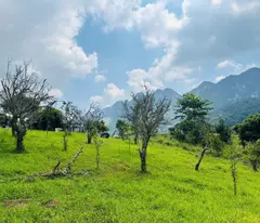 Bán Đất 700m² Tại Mộc Châu – Vị Trí Đẹp, Gần Thác Dải Yếm, Thích Hợp Kinh Doanh Homestay & Coffe