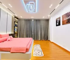 Bán nhà Tam Trinh, Mặt Ngõ Thông OTO 2 đầu Phố , Kinh Doanh Tốt, 65m2, 8.5 tỷ