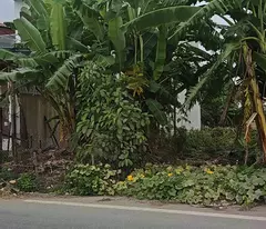 Bán đất thổ cư 100m², Đông Động, Đông Hưng, Thái Bình - 2 tỷ, sổ đỏ chính chủ