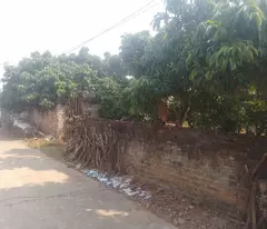 Cần Bán ngay 6 lô đất vàng tại Tổ dân phố Kép 2A, Phường Hồng Giang, Thị xã Chũ.Chỉ có hơn 5xx tr