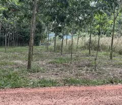 Bán lô đất trung tâm xã Long Hòa, Dầu Tiếng, Bình Dương.