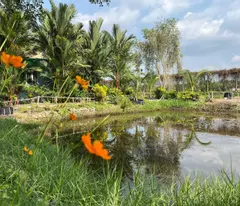 Bán nhà vườn nghĩ dưỡng Bình Chánh- TP Hồ Chí Minh
