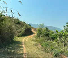 Bán đất tặng nhà sàn, 3ha có 400m2 ONT tại TT Mộc Châu (Sẵn sổ sang tên)