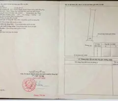 Mặt Tiền Đường Quách Thị Trang , 176m² Full Thổ Cư , Xã Phú Thạnh , Nhơn Trạch