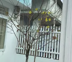 Bán Nhà Mới Xây 2 Mặt Tiền Hẻm, Diện Tích 162m², Giá 3.55 Tỷ, Nha Trang