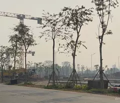Bán căn dãy LK4 Vaquarius Văn Giang, lô đẹp hướng Đông Nam mặt tiền 6m