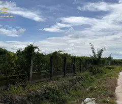 Bán đất hoặc hợp tác Dự án Farm kỹ thuật cao tại Hớn Quảng – Bình Phước tổng 22.300m2 trồng cây ăn