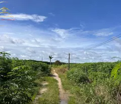 Bán đất hoặc hợp tác Dự án Farm kỹ thuật cao tại Hớn Quảng – Bình Phước tổng 22.300m2 trồng cây ăn