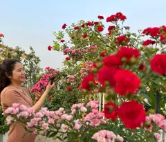 BÁN NHÀ PHỐ CỔ TẢN ĐÀ, Ô TÔ ĐỖ CỬA, 5T, 30m, 6.8 tỷ