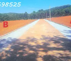 Bán Đất Bình Phước, 250m2, sổ sẵn 100m2 thổ cư, 280tr ngân hàng cho vay 50%