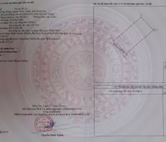 Bán Đất Đại Phước, 202,2m² (Có Sẵn 50m² Thổ), Hẻm Bê Tông 1 Xuyệc Lý Thái Tổ – Giá 4 Tỷ