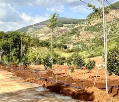 BÁN ĐẤT TẠI HUYỆN ĐẠ HUOAI MỚI TỈNH LÂM ĐỒNG DIỆN TÍCH 1100M2