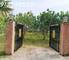 1000m2 nhà vườn sát chợ, đường 12M, đầy đủ điện nước