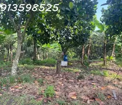 1500m2 giá 300 triệu, nhà chòi nhậu bao mát