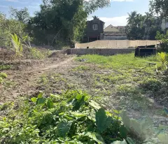 Bán đất 74,5m2 ngõ Cát Linh, Tràng Cát, Hải An giá 1,380 tỷ