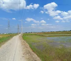 Bán đất Vĩnh Thanh - 1548m² - Đất lúa - 1tỷ9