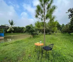 Chính chủ cần bán nhà vườn 2000m. Có nhà nhỏ vườn cây. Giá 300tr