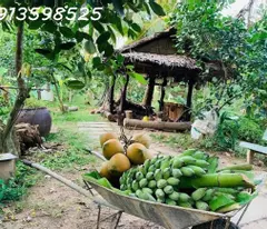 Cần bán gấp 1500m2 giá 290 triệu, nhà chòi vườn cây trái, đường nhựa 7m