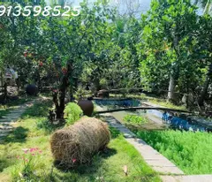 Cần bán gấp 1500m2 giá 290 triệu, nhà chòi vườn cây trái, đường nhựa 7m